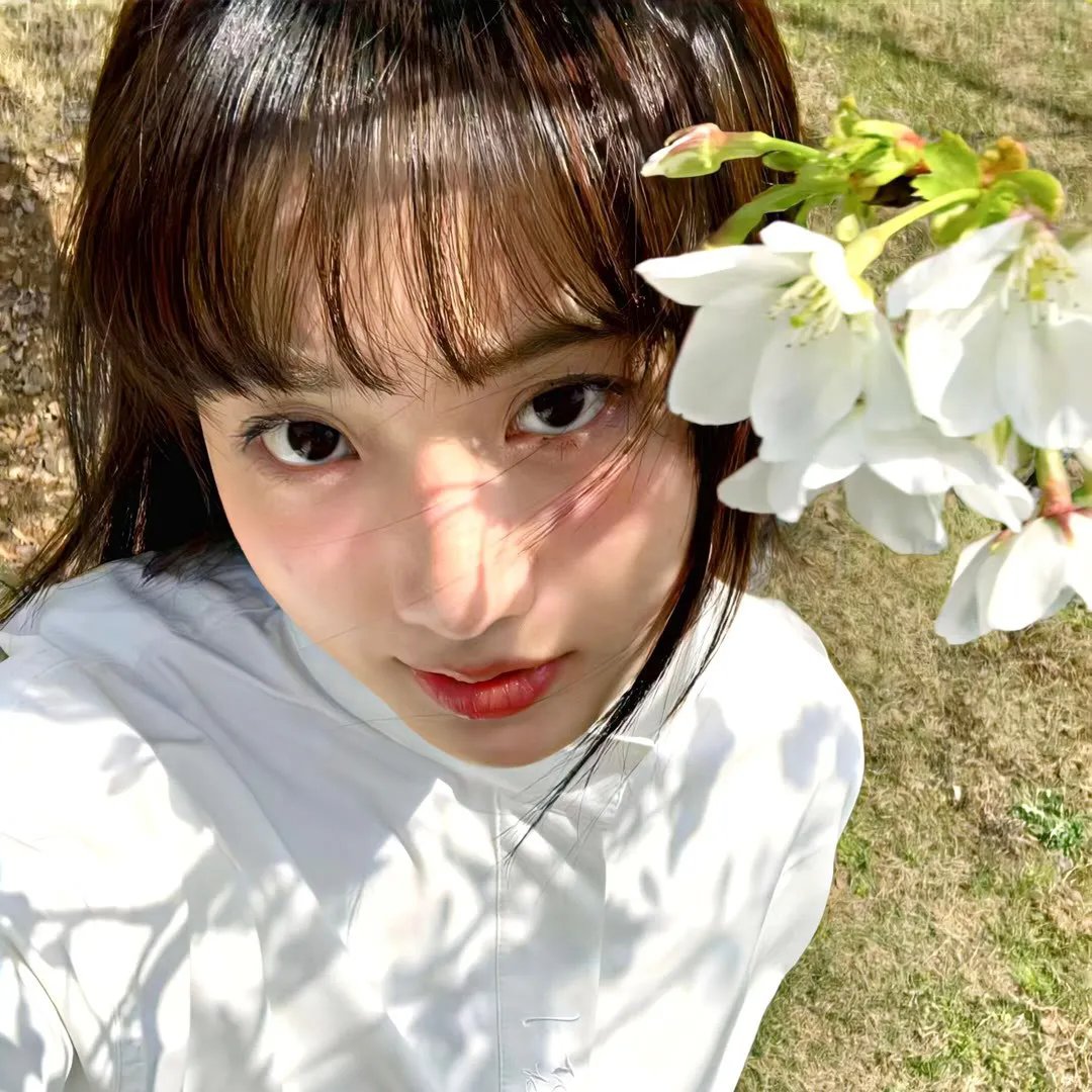 走进韩国大师